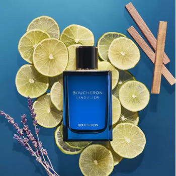 Singulier EDP
